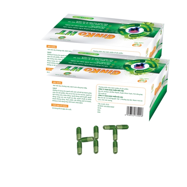 Hỗ trợ tăng cường tuần hoàn não GINKO HT